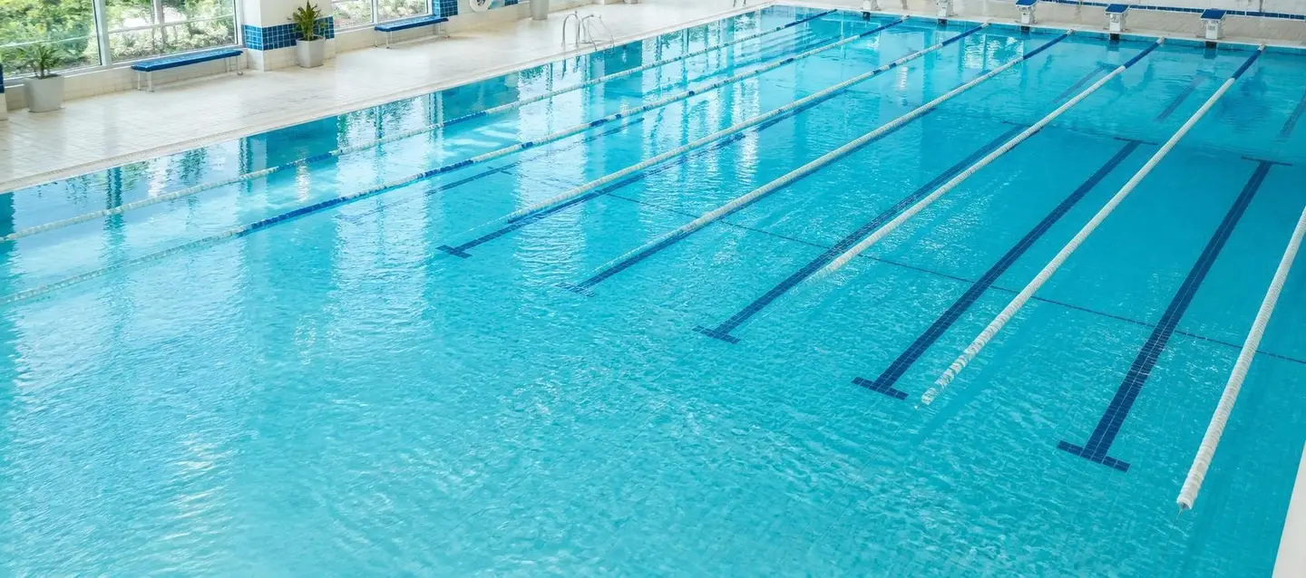 Lane ropes stretching down a sunlit indoor competition pool