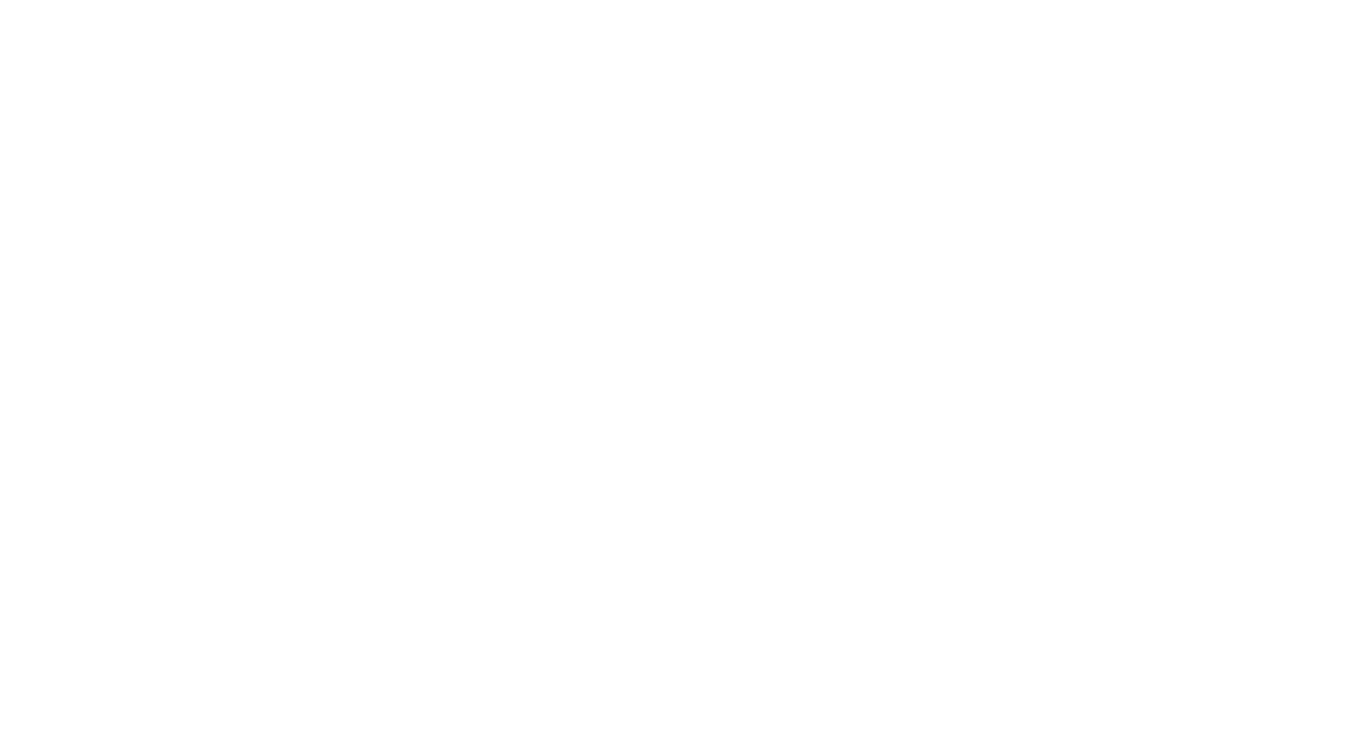 2 For 2 Foundation logo
